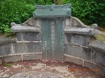 ⶫ (11)